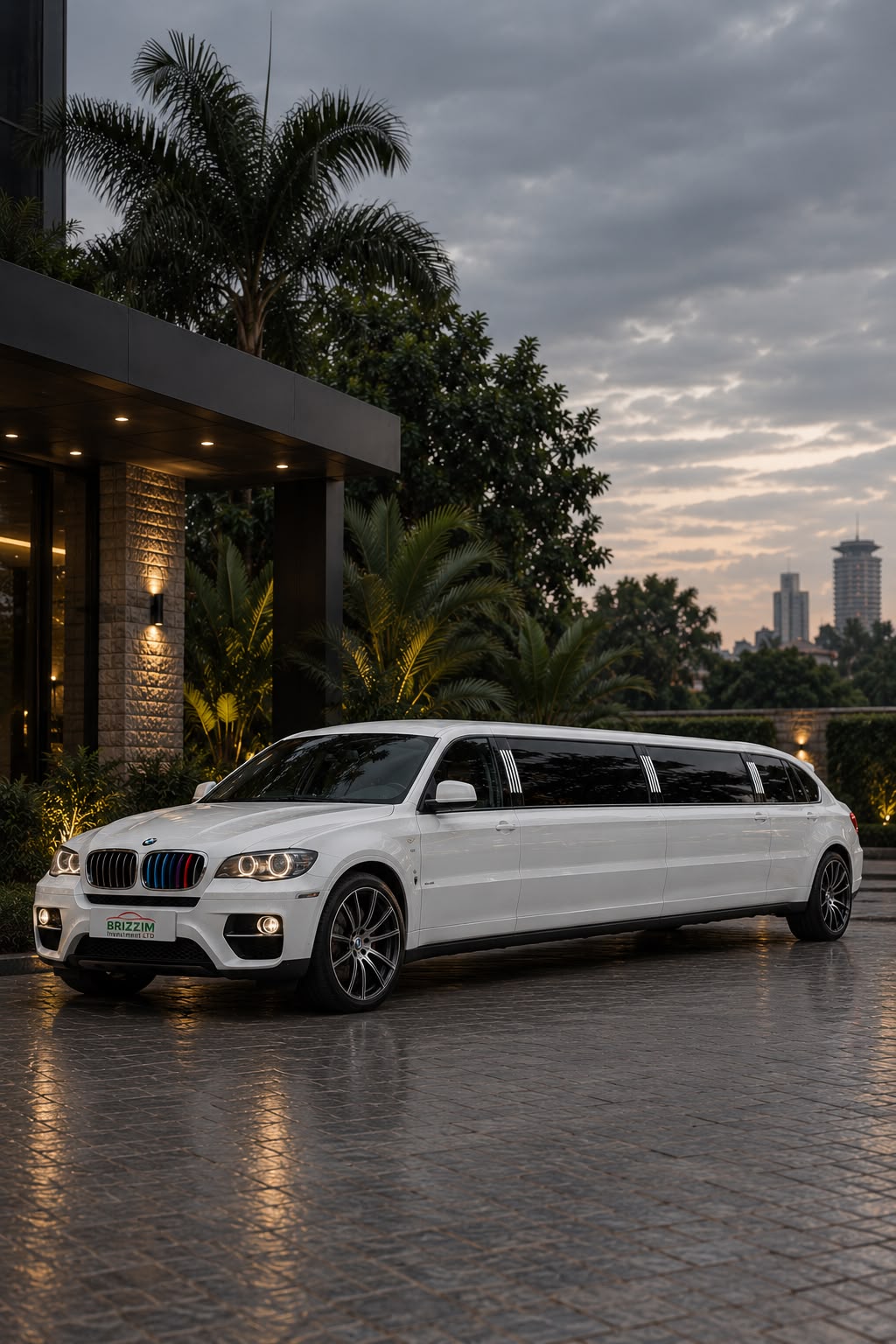 BMW LIMOUSINE