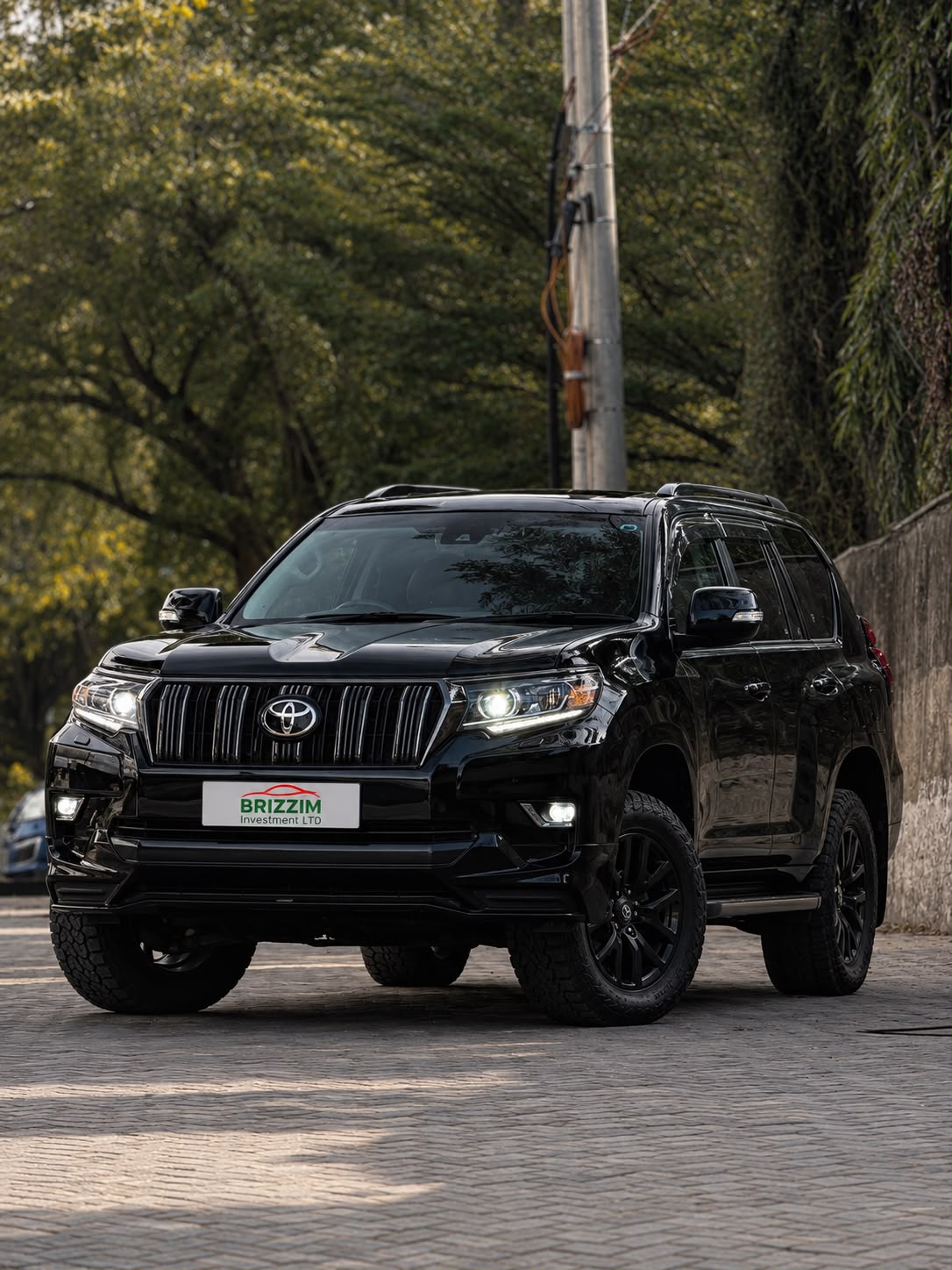 PRADO TXL
